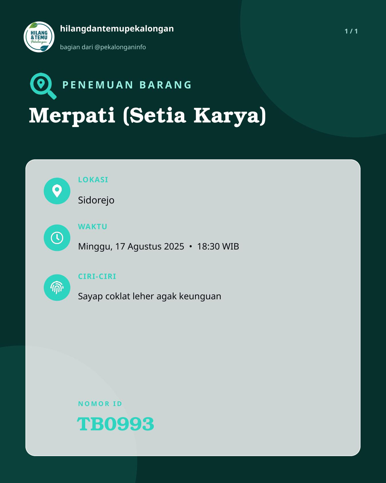 Slide laporan Merpati (Setia Karya) (TB0993)