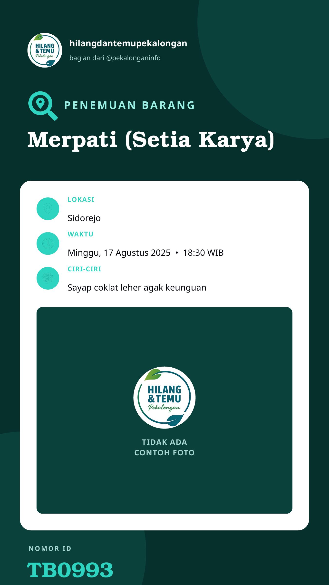 Story 9:16 laporan Merpati (Setia Karya)