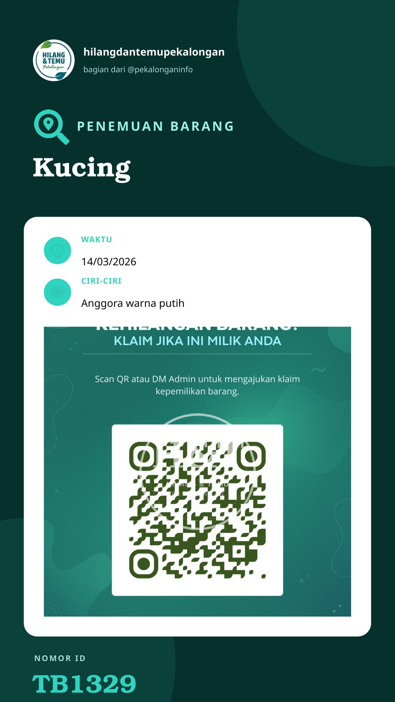 Story 9:16 laporan Kucing