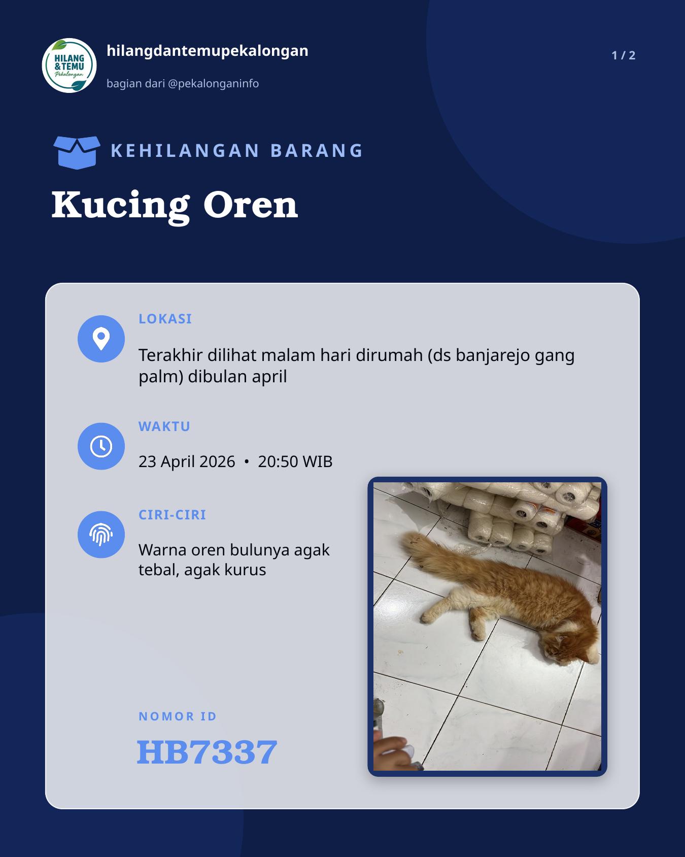 Slide laporan Kucing Oren (HB7337)