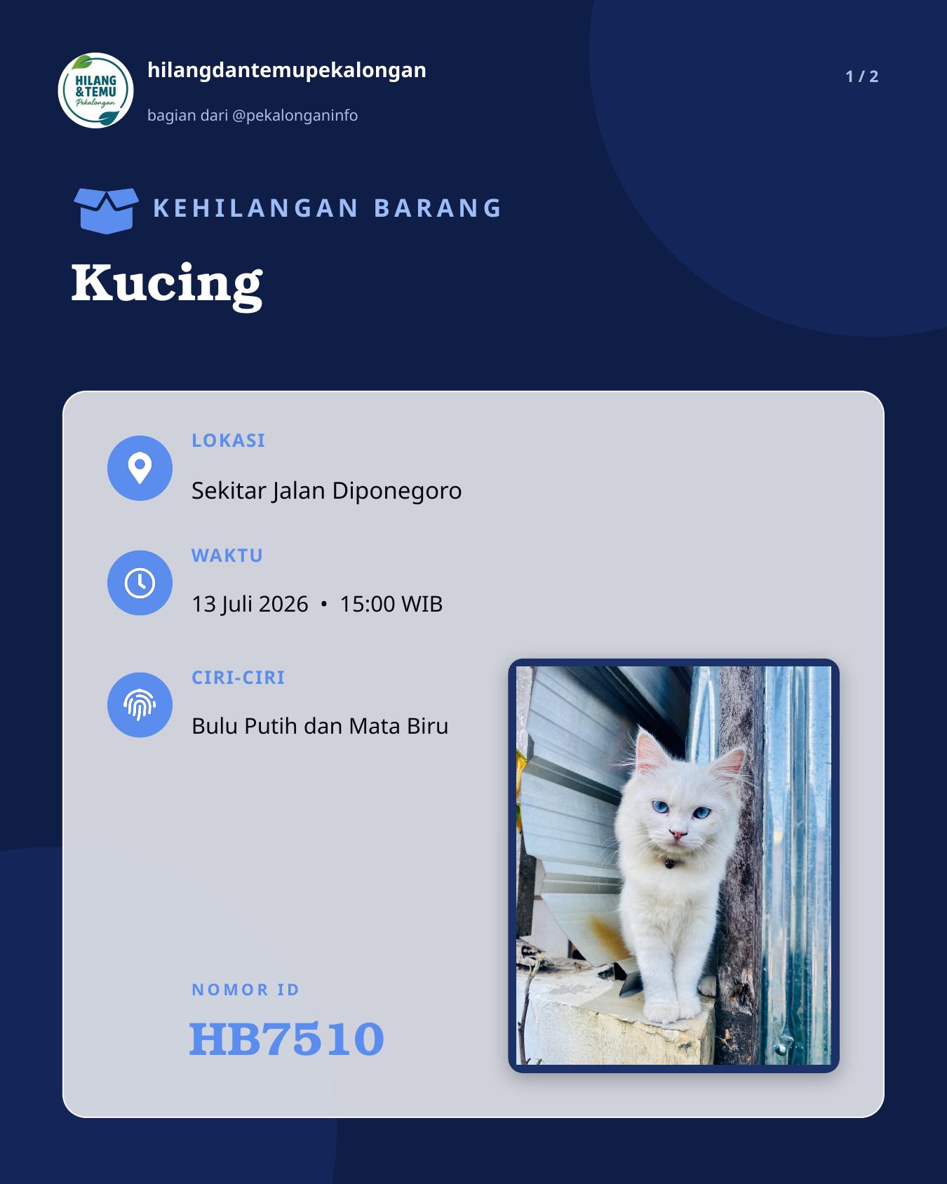 Slide laporan Kucing (HB7510)