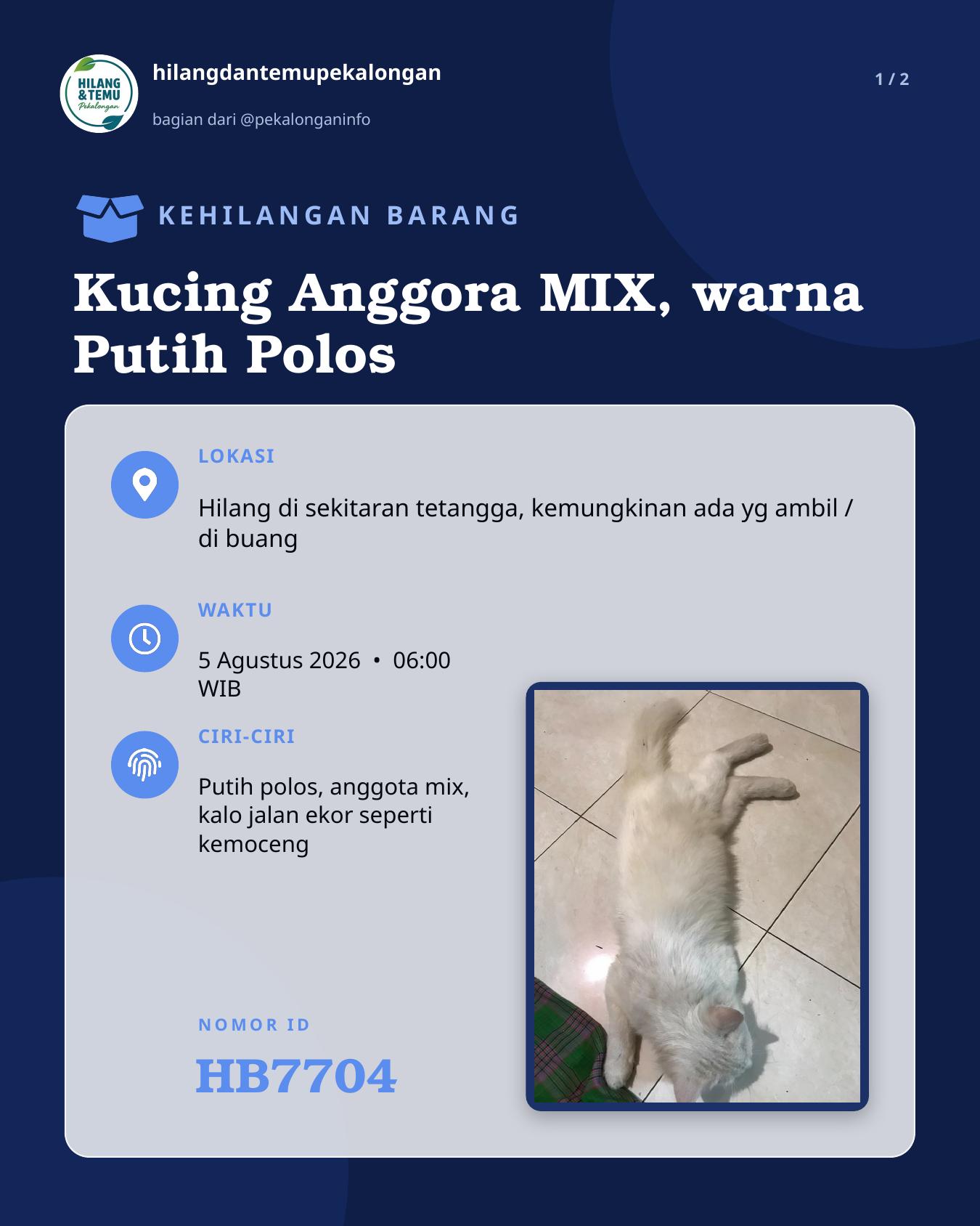 Slide laporan Kucing Anggora MIX, warna Putih Polos (HB7704)