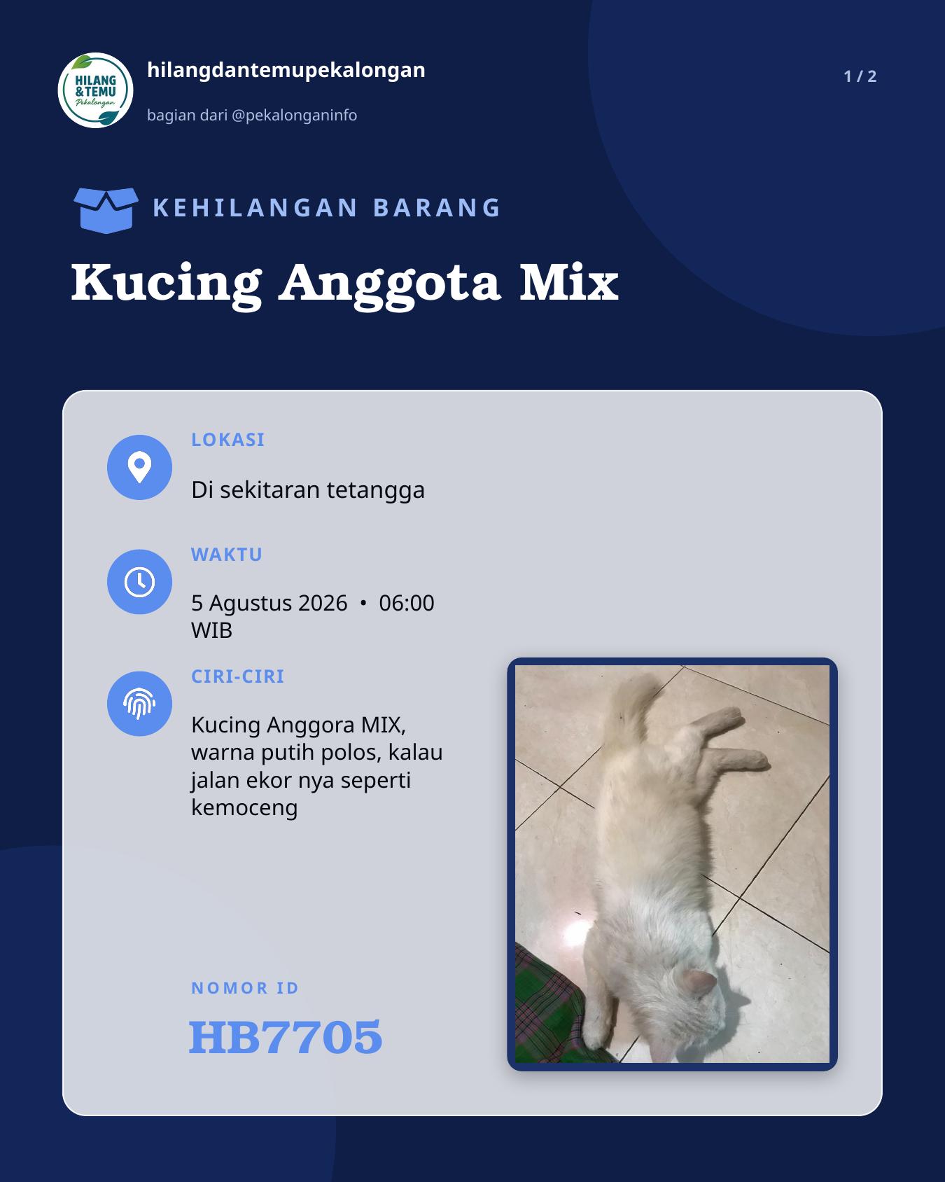 Slide laporan Kucing Anggota Mix (HB7705)
