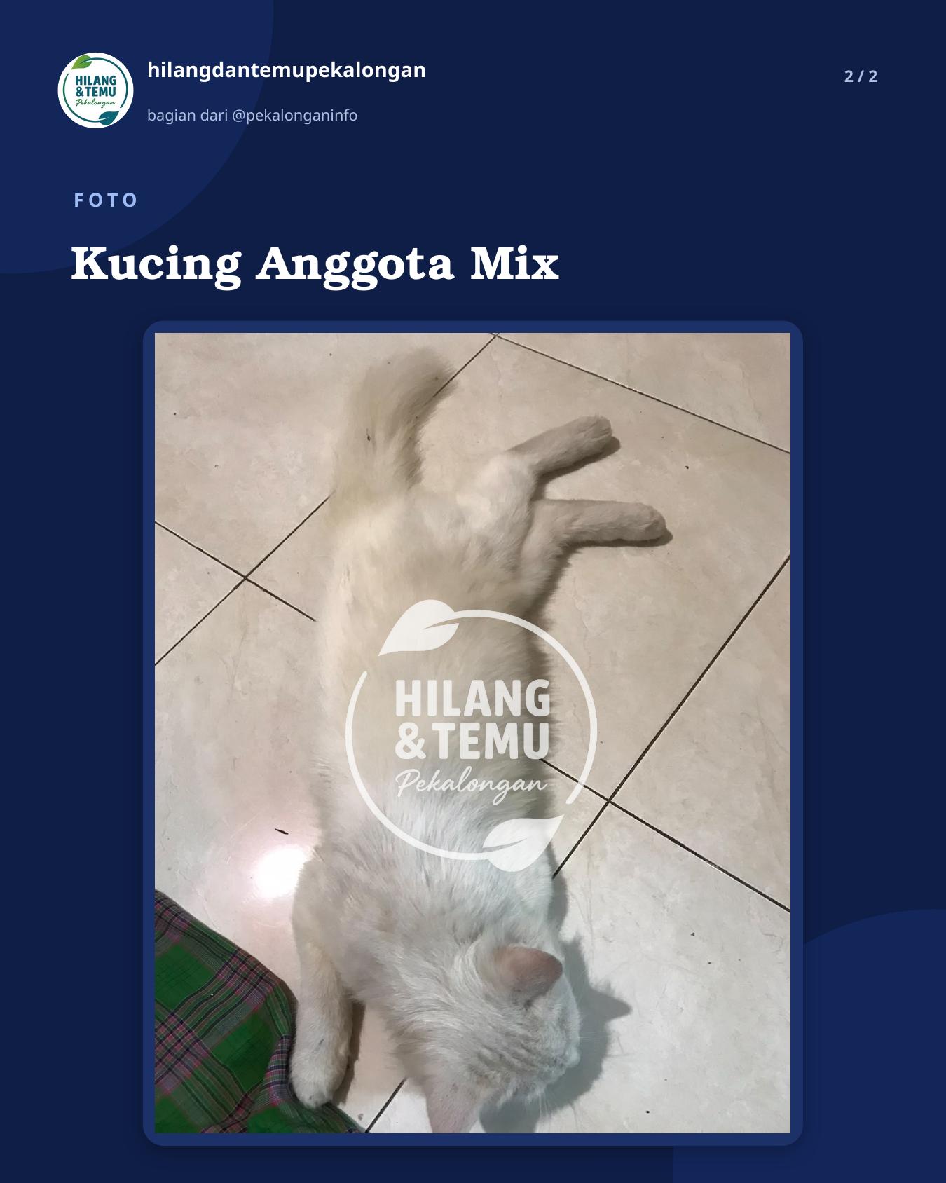 Slide 2 laporan Kucing Anggota Mix