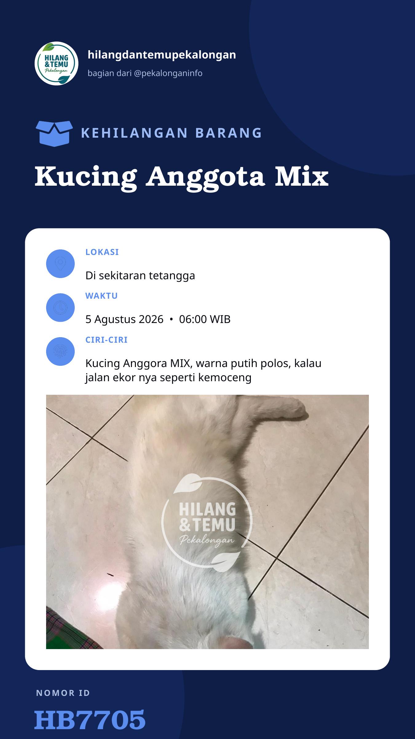 Story 9:16 laporan Kucing Anggota Mix