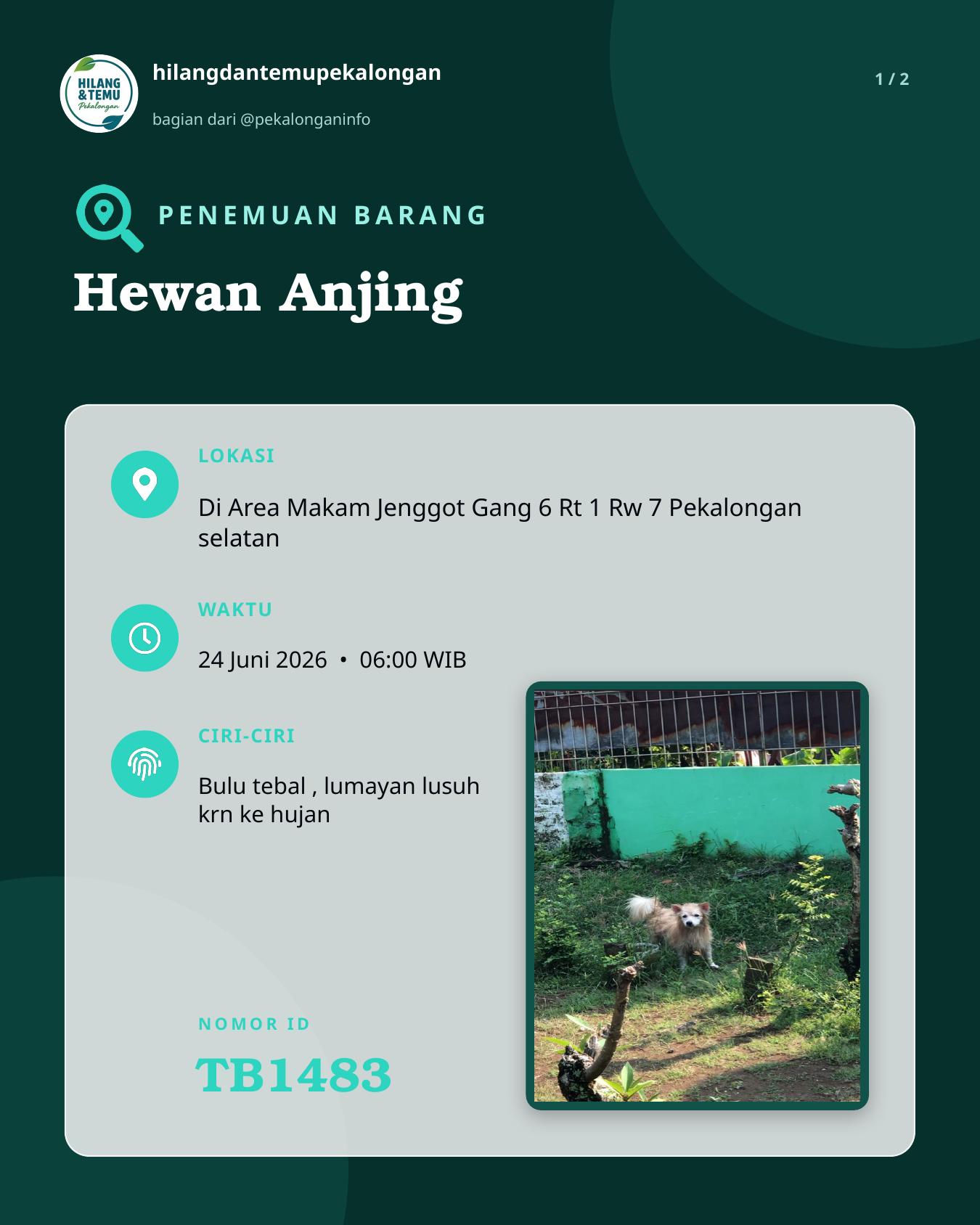 Slide laporan Hewan Anjing (TB1483)
