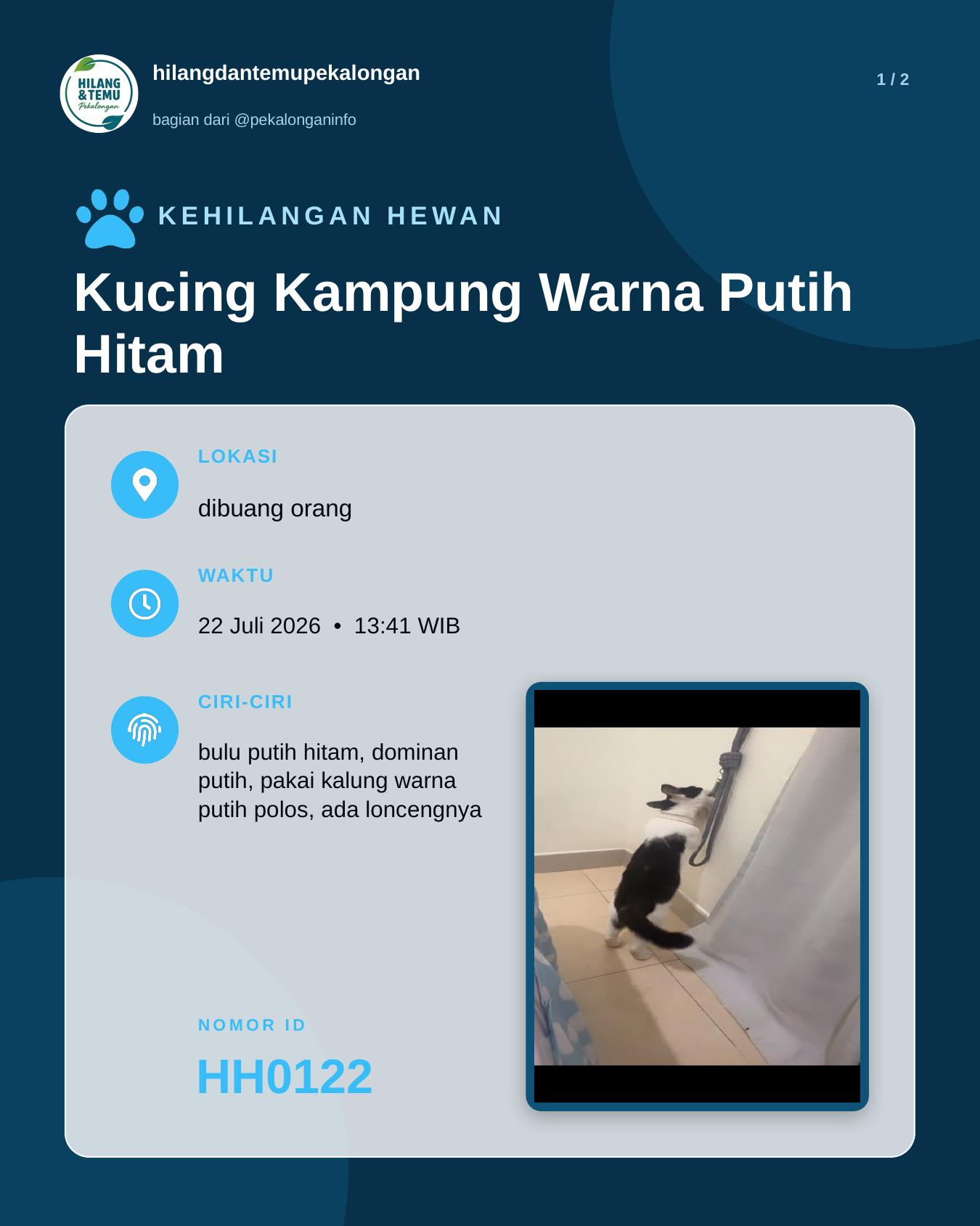 Slide 1 laporan Kucing Kampung Warna Putih Hitam