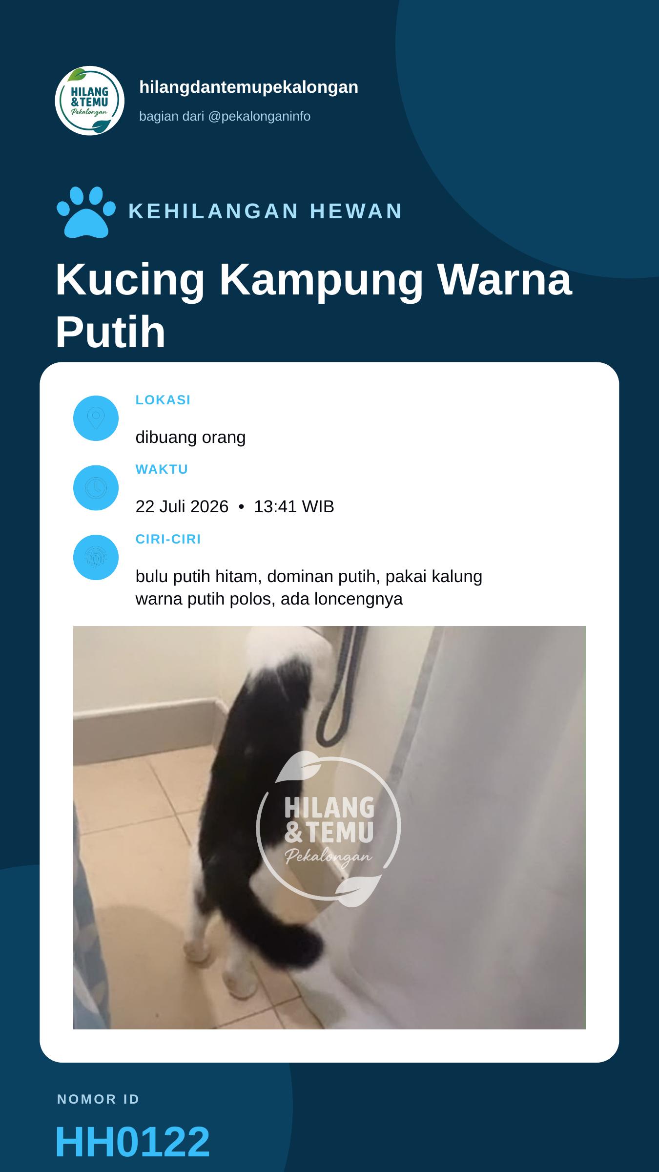 Story 9:16 laporan Kucing Kampung Warna Putih Hitam
