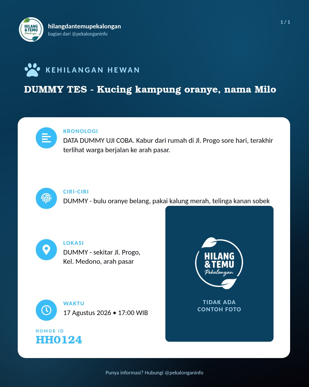 Slide laporan DUMMY TES - Kucing kampung oranye, nama Milo (HH0124)