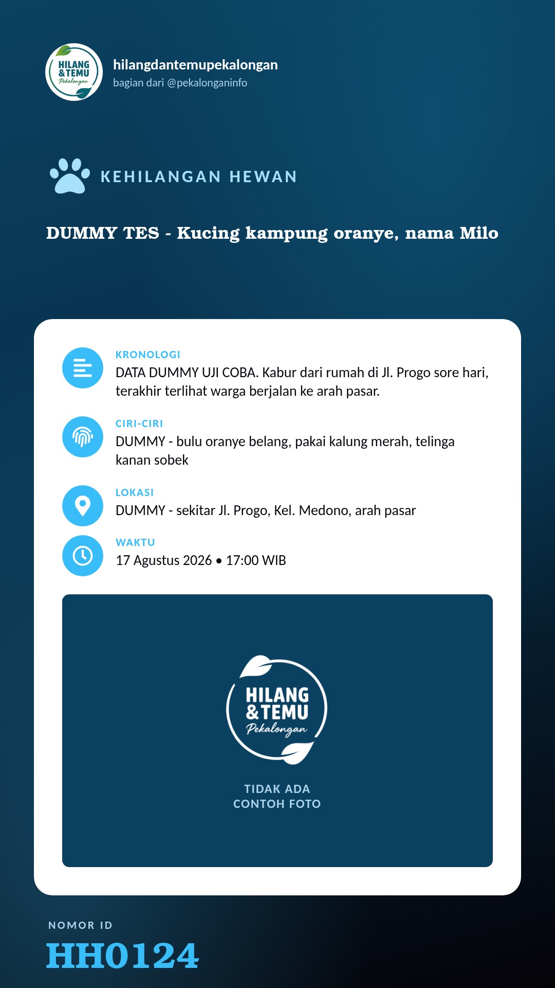 Story 9:16 laporan DUMMY TES - Kucing kampung oranye, nama Milo