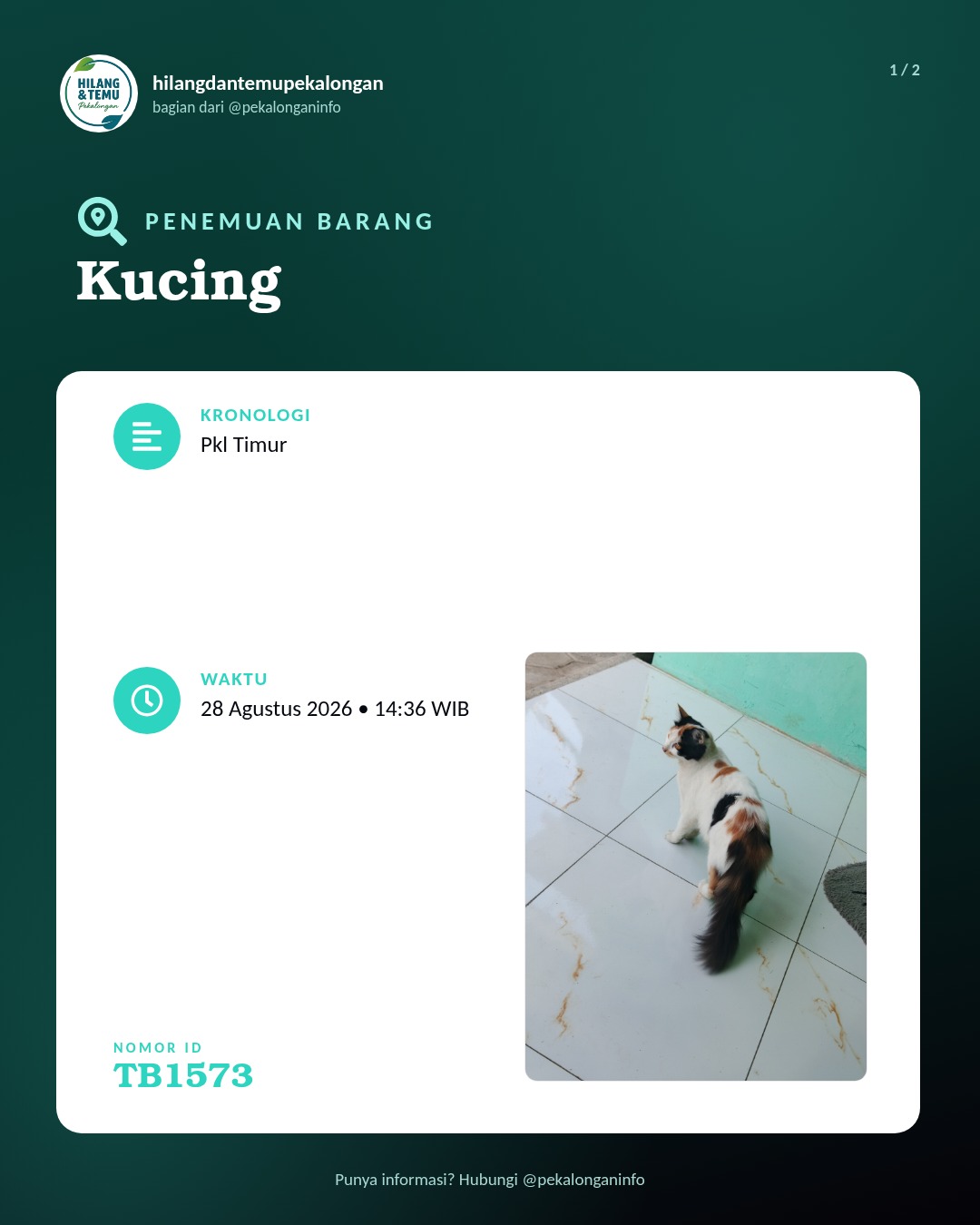Slide 1 laporan Kucing