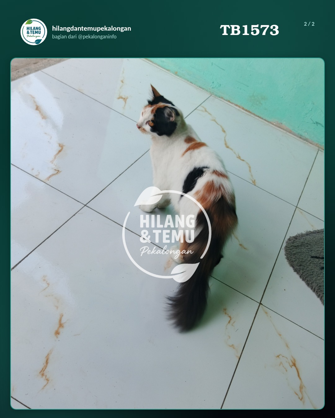 Slide 2 laporan Kucing