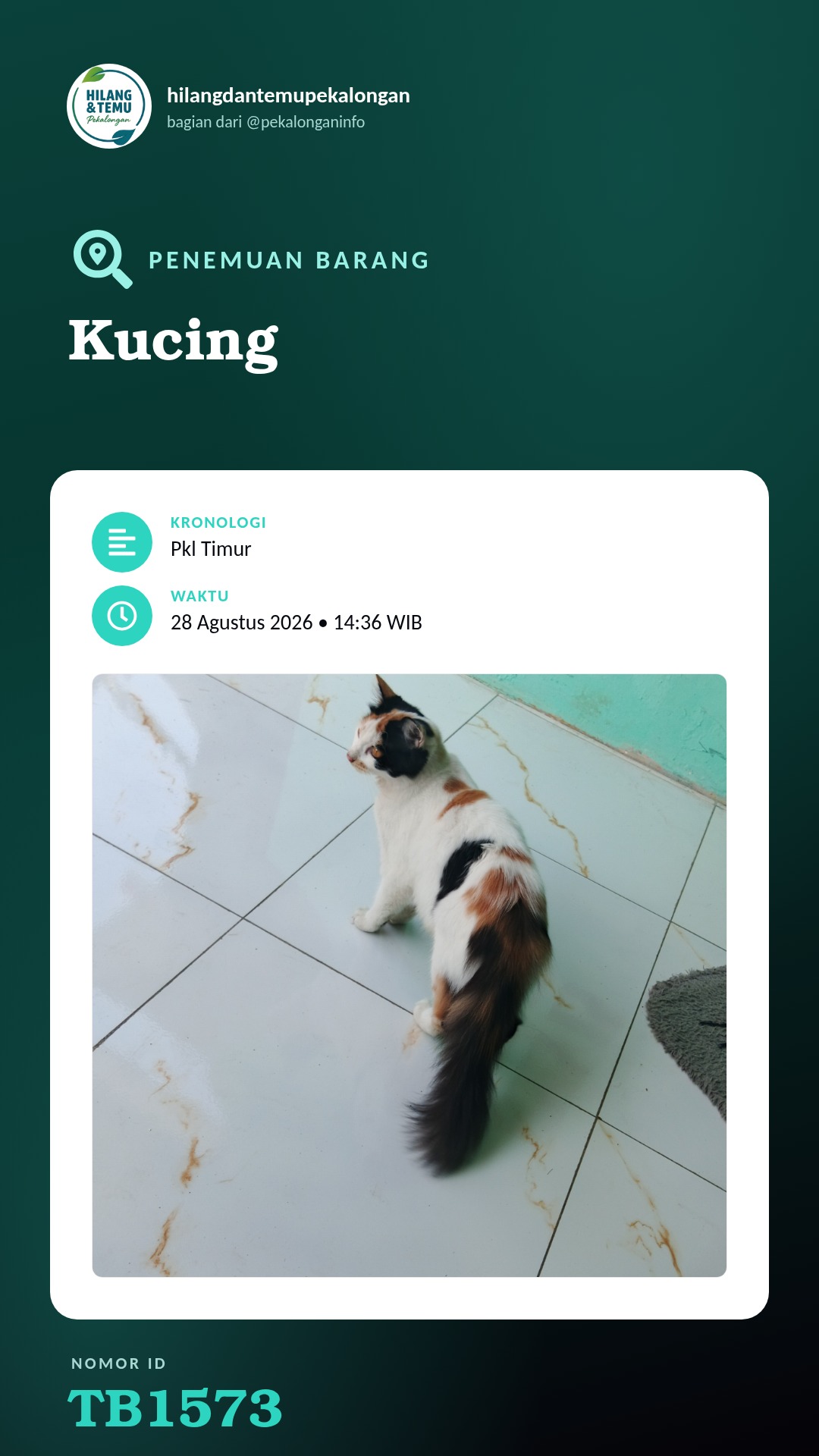 Story 9:16 laporan Kucing