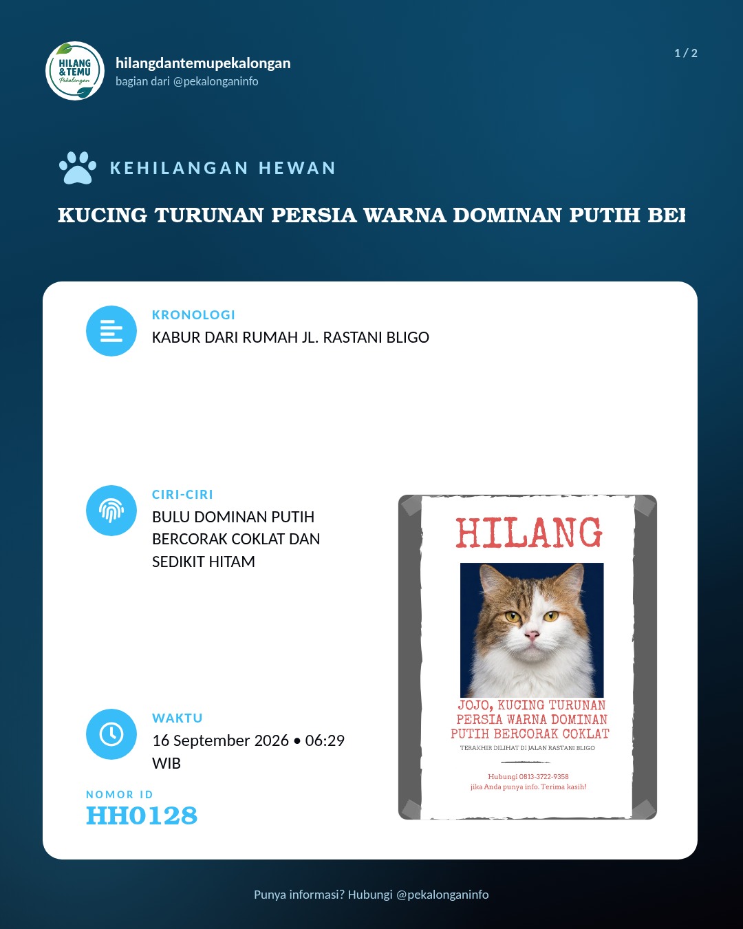 Slide 1 laporan KUCING TURUNAN PERSIA WARNA DOMINAN PUTIH BERCORAK COKLAT