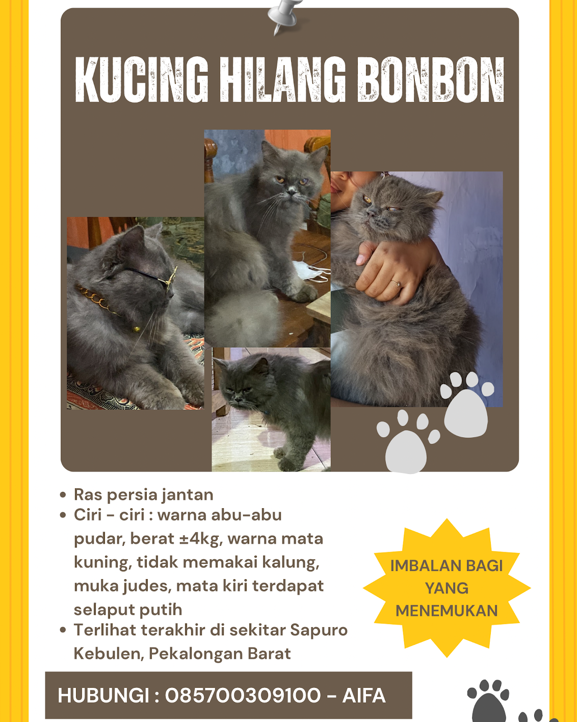 Foto laporan Bon bon (HH0119)