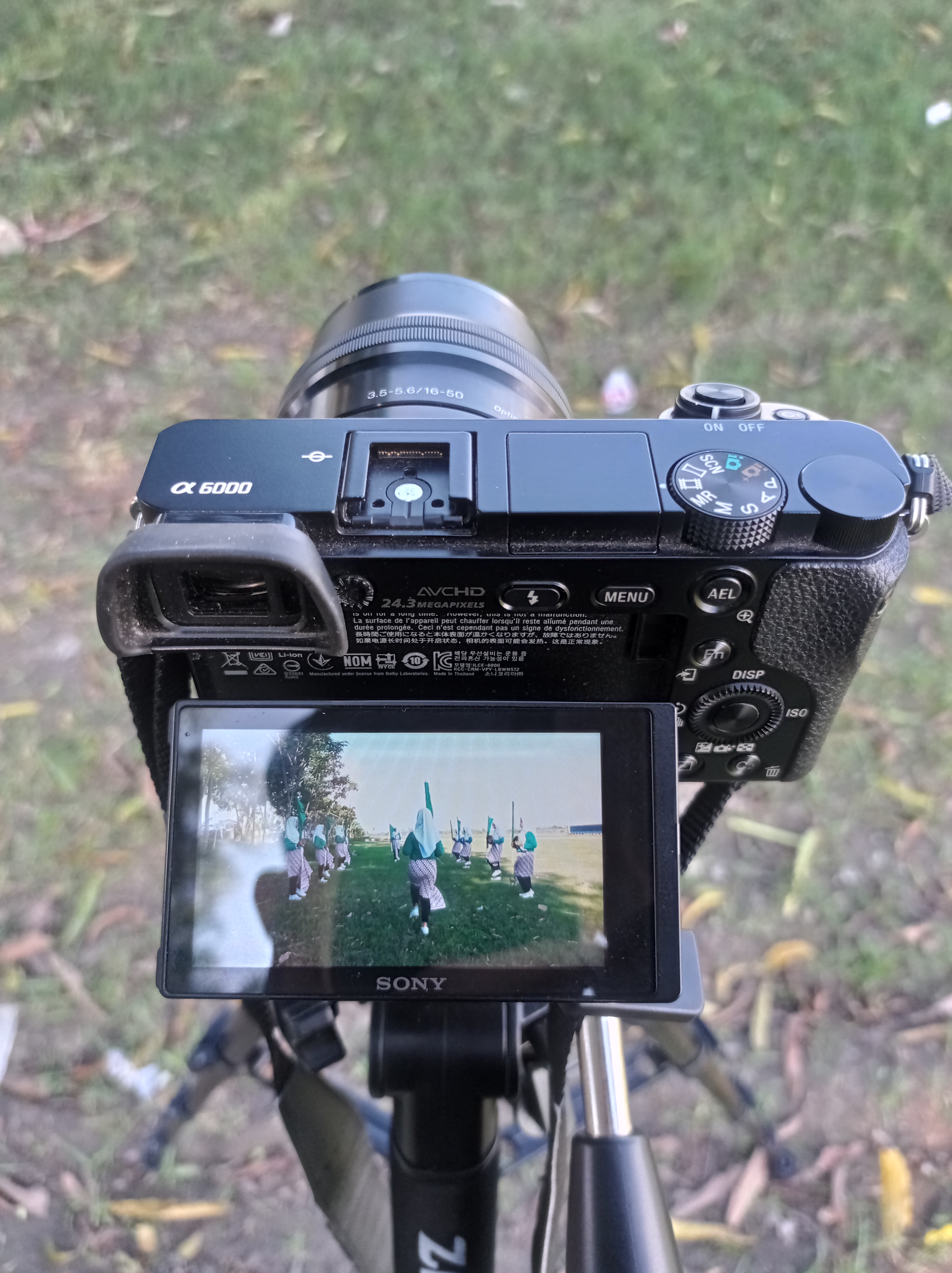 Foto laporan Kamera Sony a6000 (HB0458)