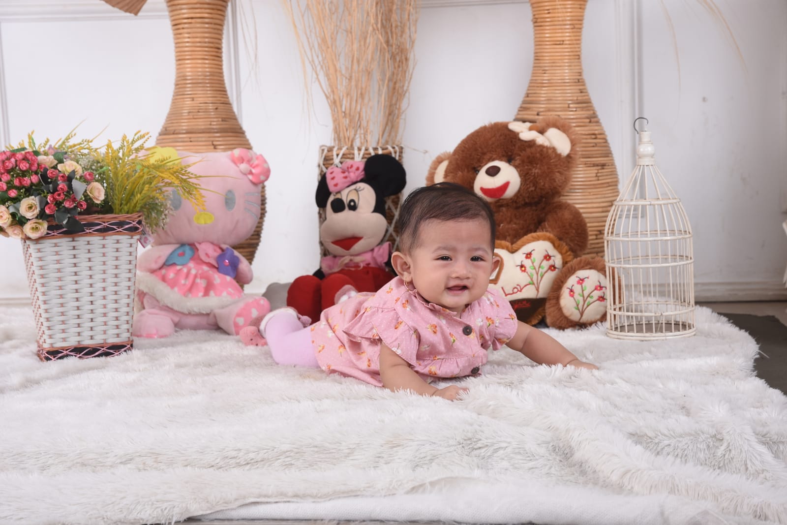 Foto laporan Kardus Panjang Isi Foto bayi Umur 6 Bulan Cewe (2 Lembar) (HB1101)