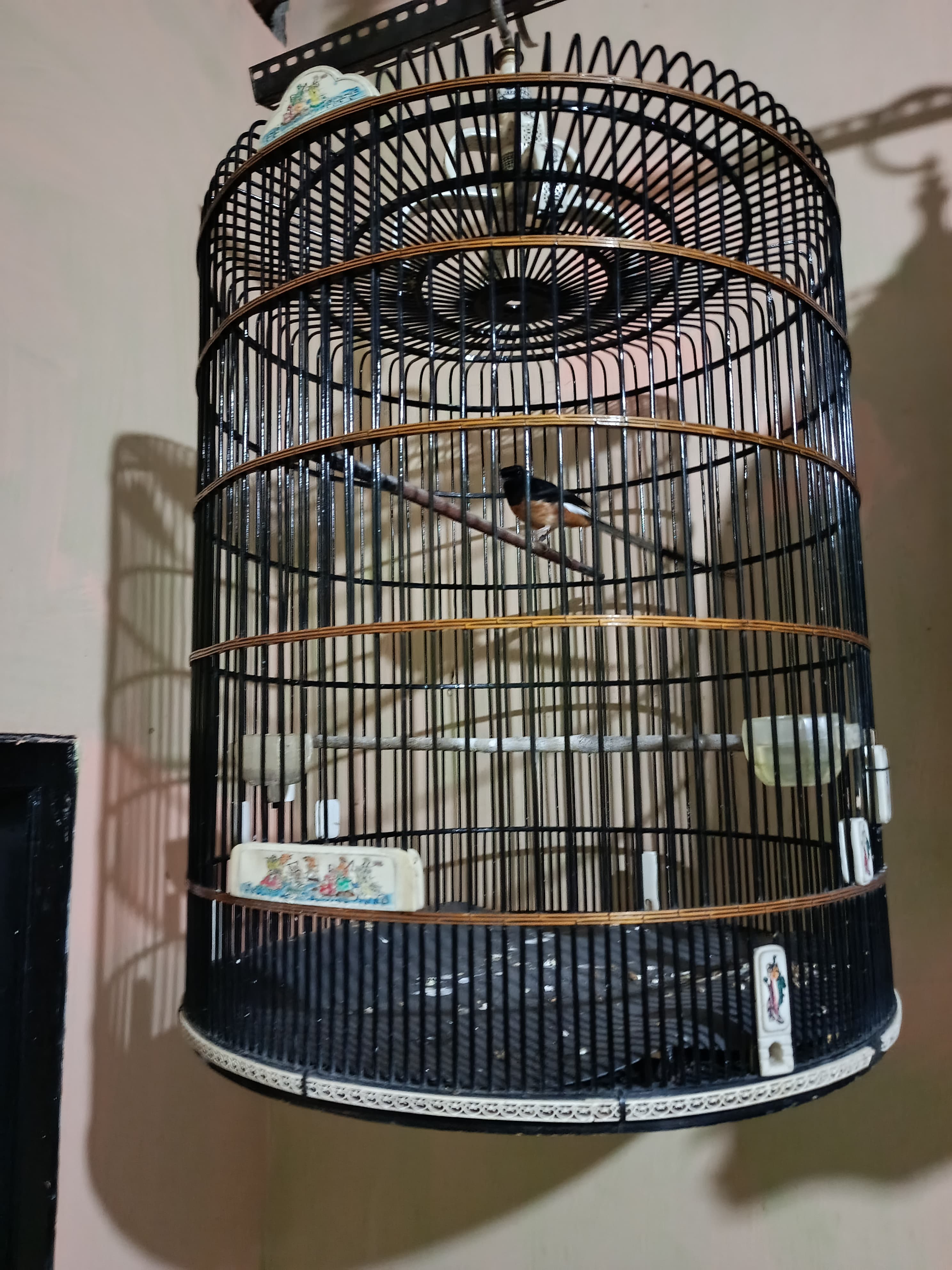 Foto laporan BURUNG MURAI BATU SANGKAR EBOD AKRILIK (HB1315)