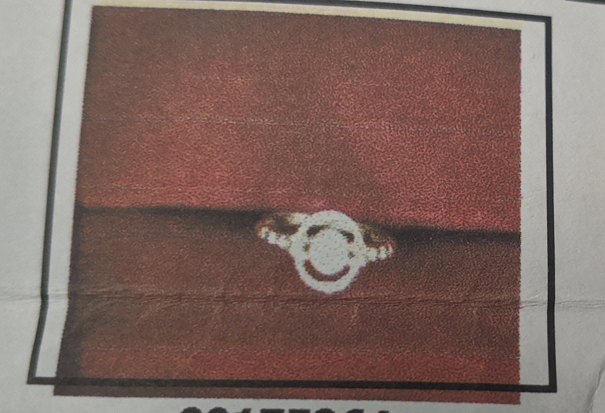 Foto laporan Cincin (HB2453)