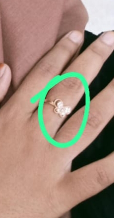 Foto laporan CINCIN EMAS KUPU-KUPU (HB2522)