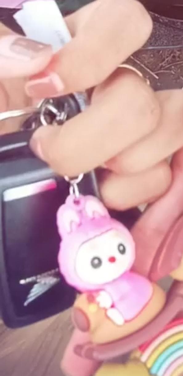 Foto laporan Kunci motor remot gantungan labubu pink (HB3678)