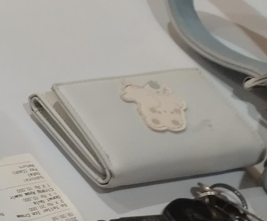 Foto laporan Dompet (HB4317)