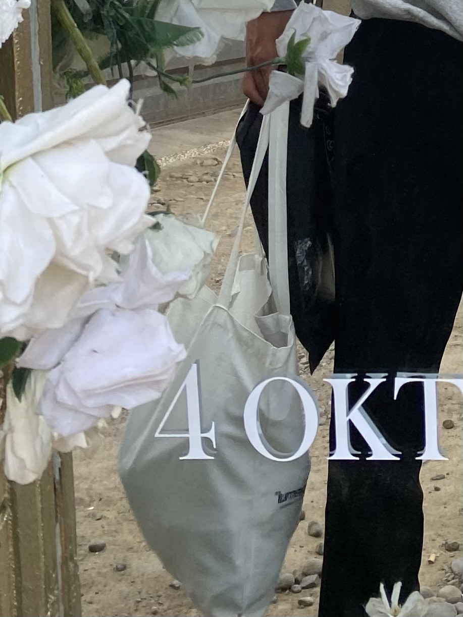Foto laporan Tas Totebag Putih (HB5092)