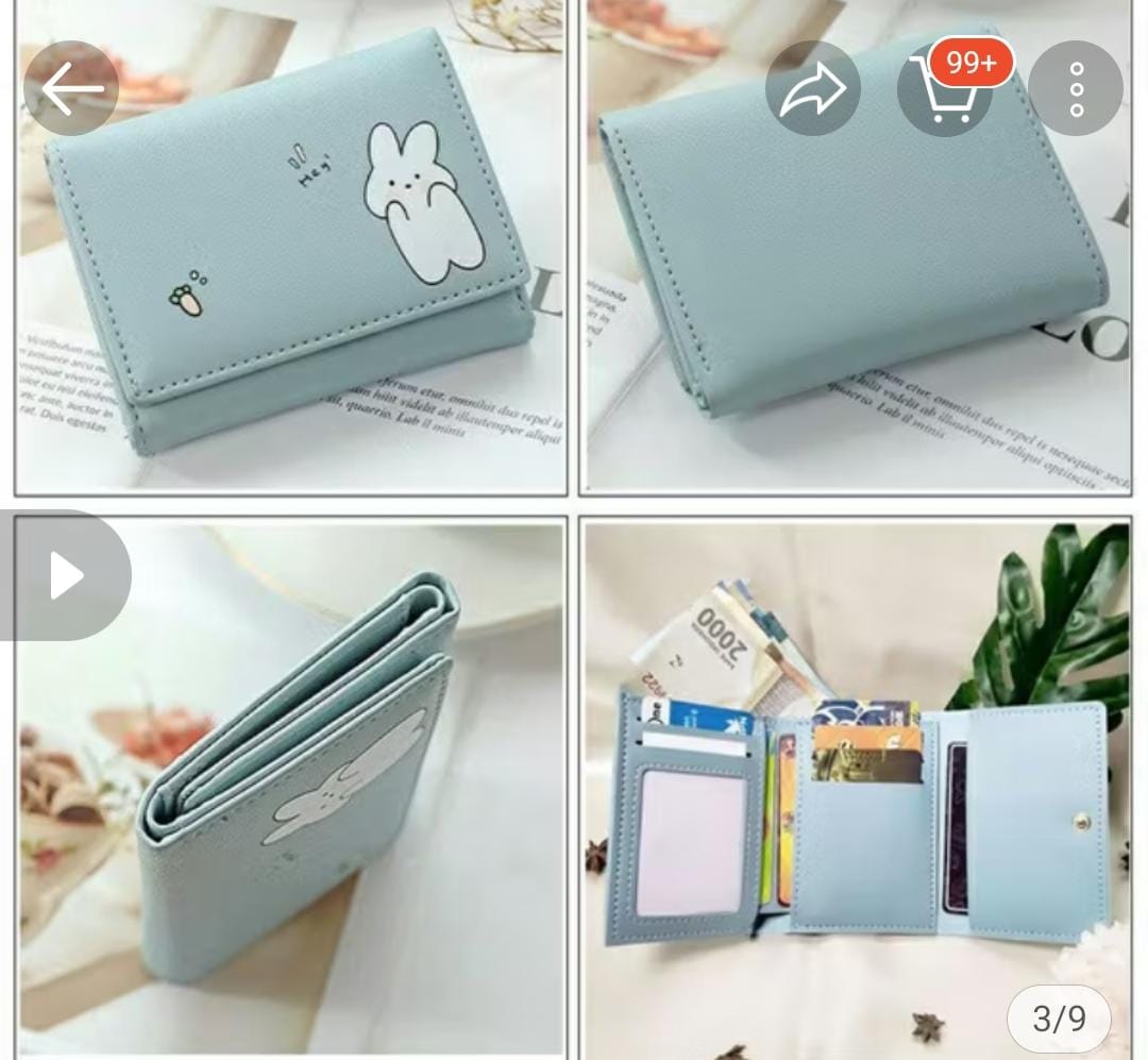 Foto laporan DOMPET (HB5540)