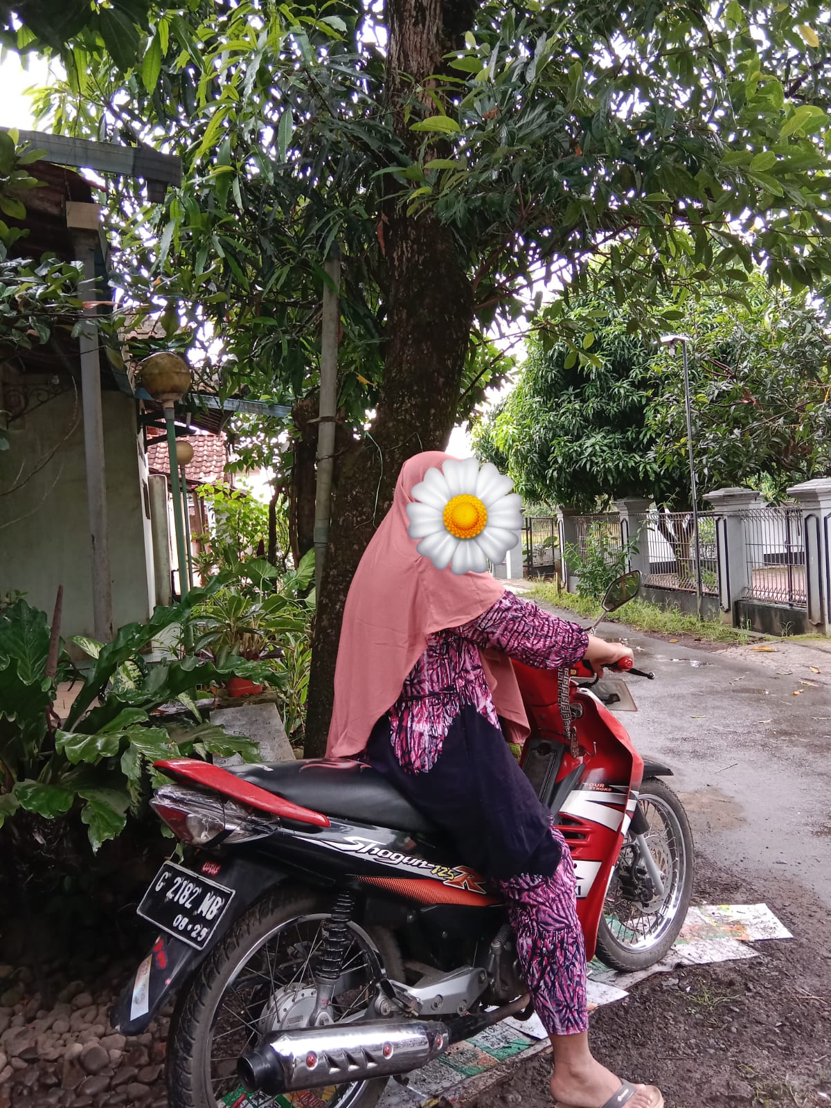 Foto laporan Montor shogun125 (HB6095)