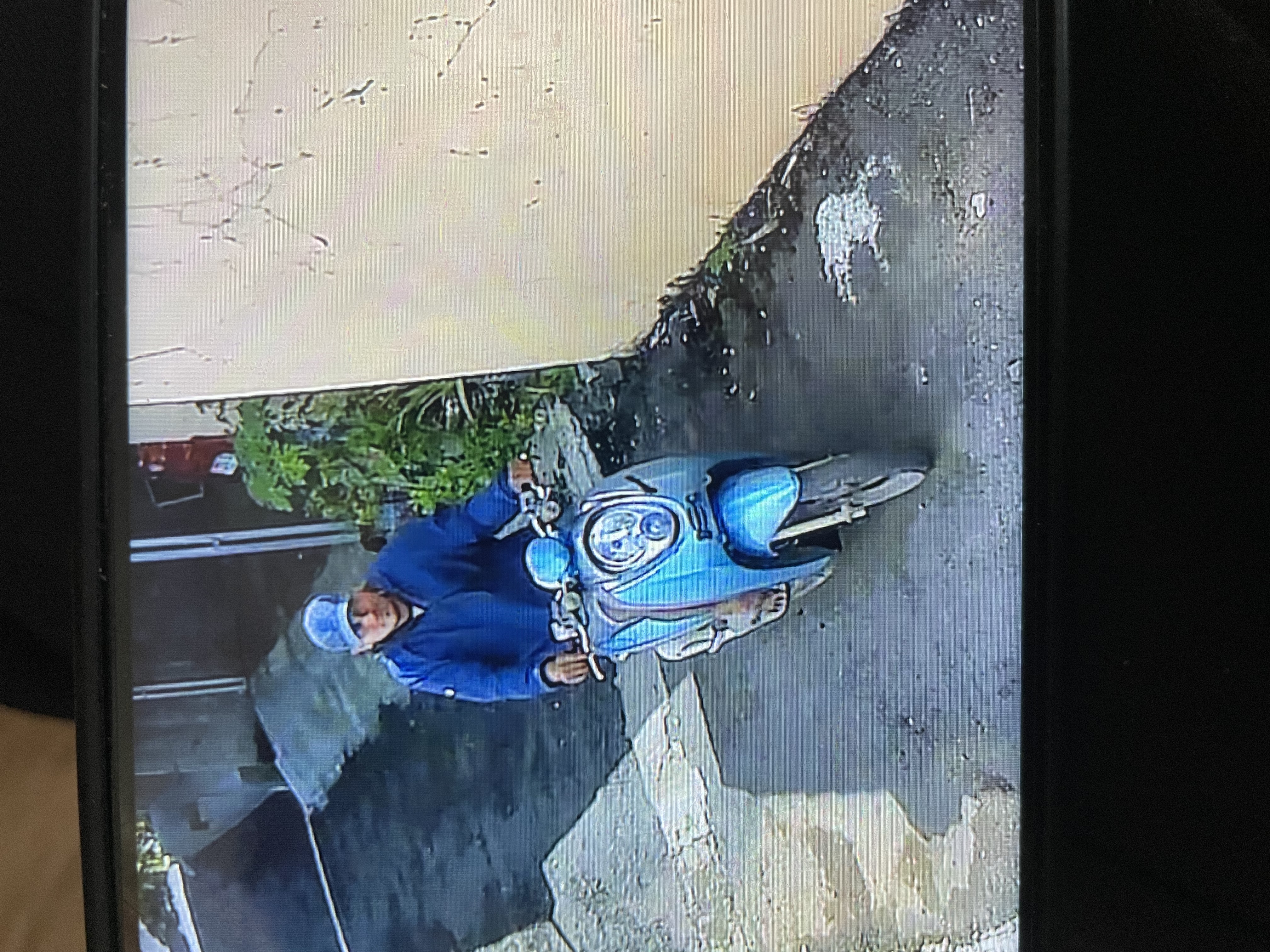 Foto laporan burung murai ekor panjang (HB6443)