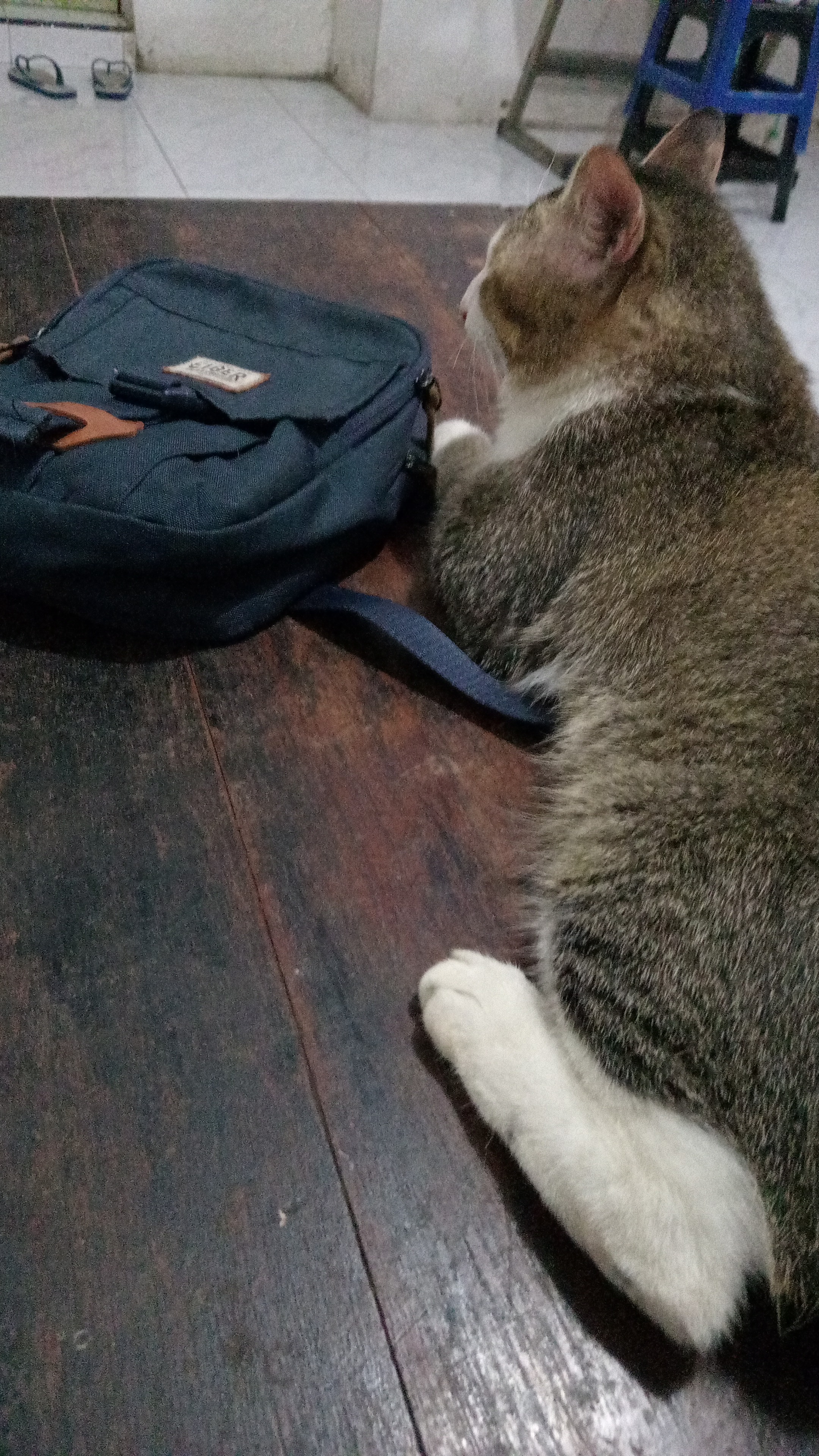 Foto laporan Abang (HH0013)