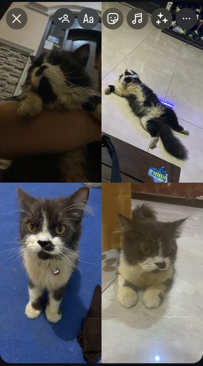 Foto laporan simon (HH0015)