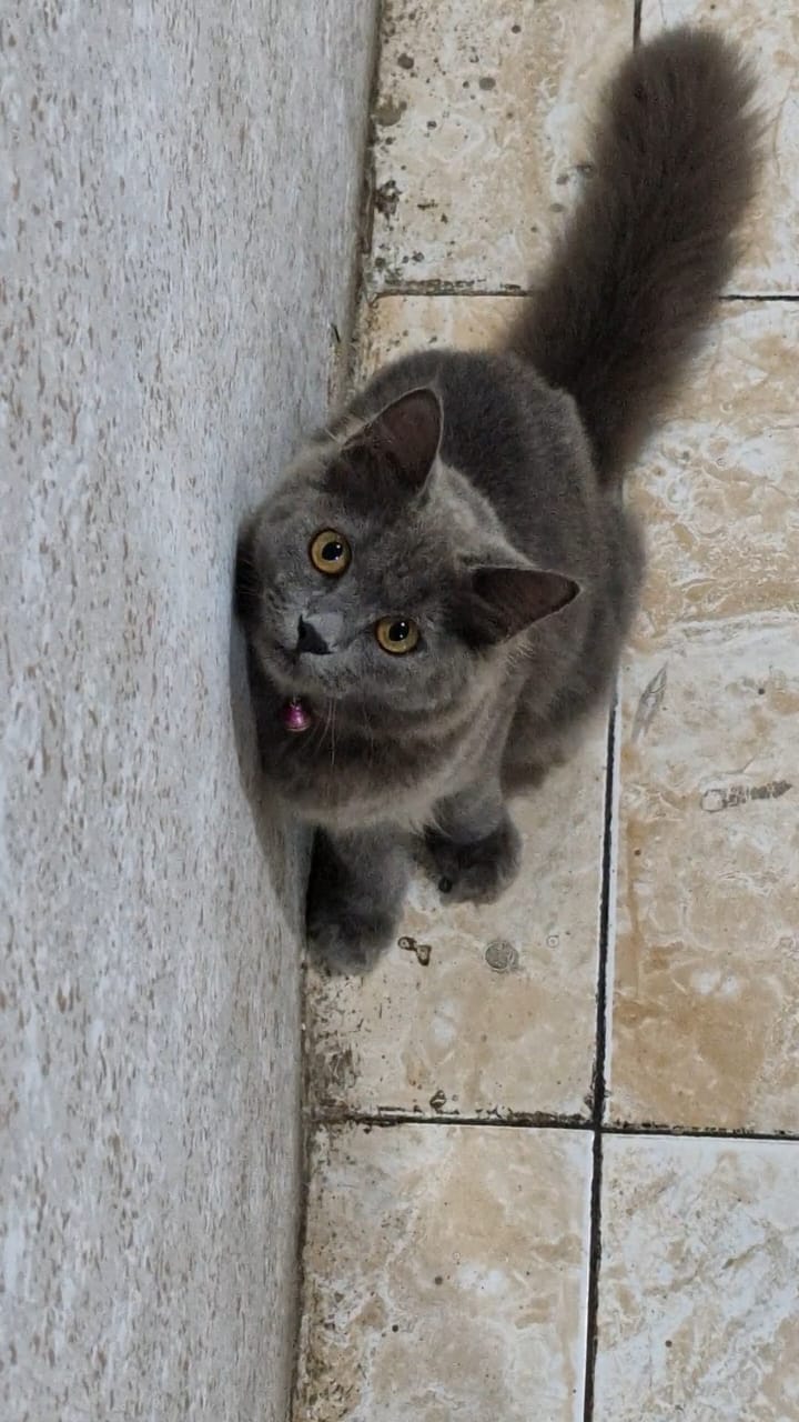 Foto laporan Milly (HH0019)