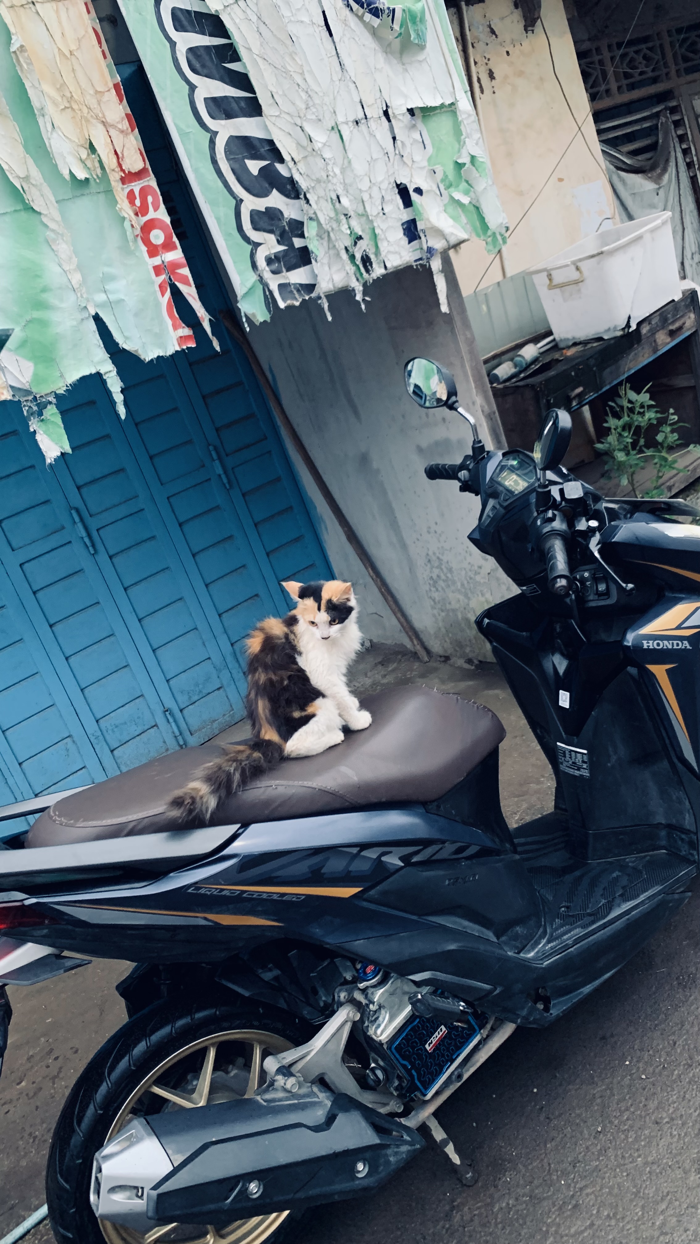 Foto laporan teyyon (HH0020)