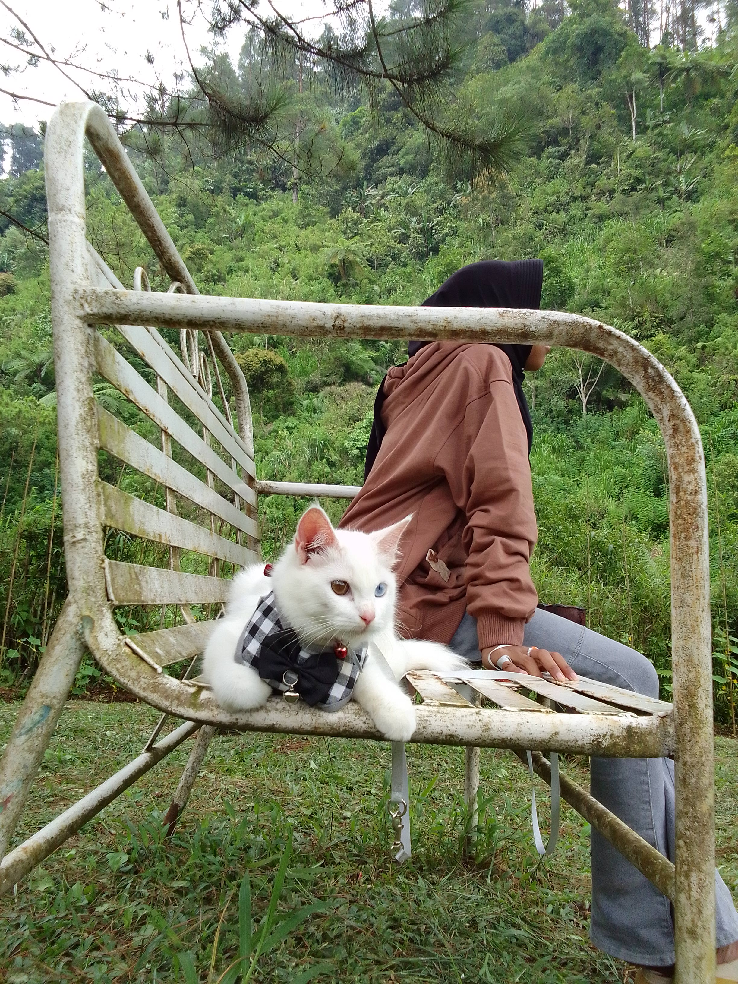 Foto laporan Desi (HH0067)