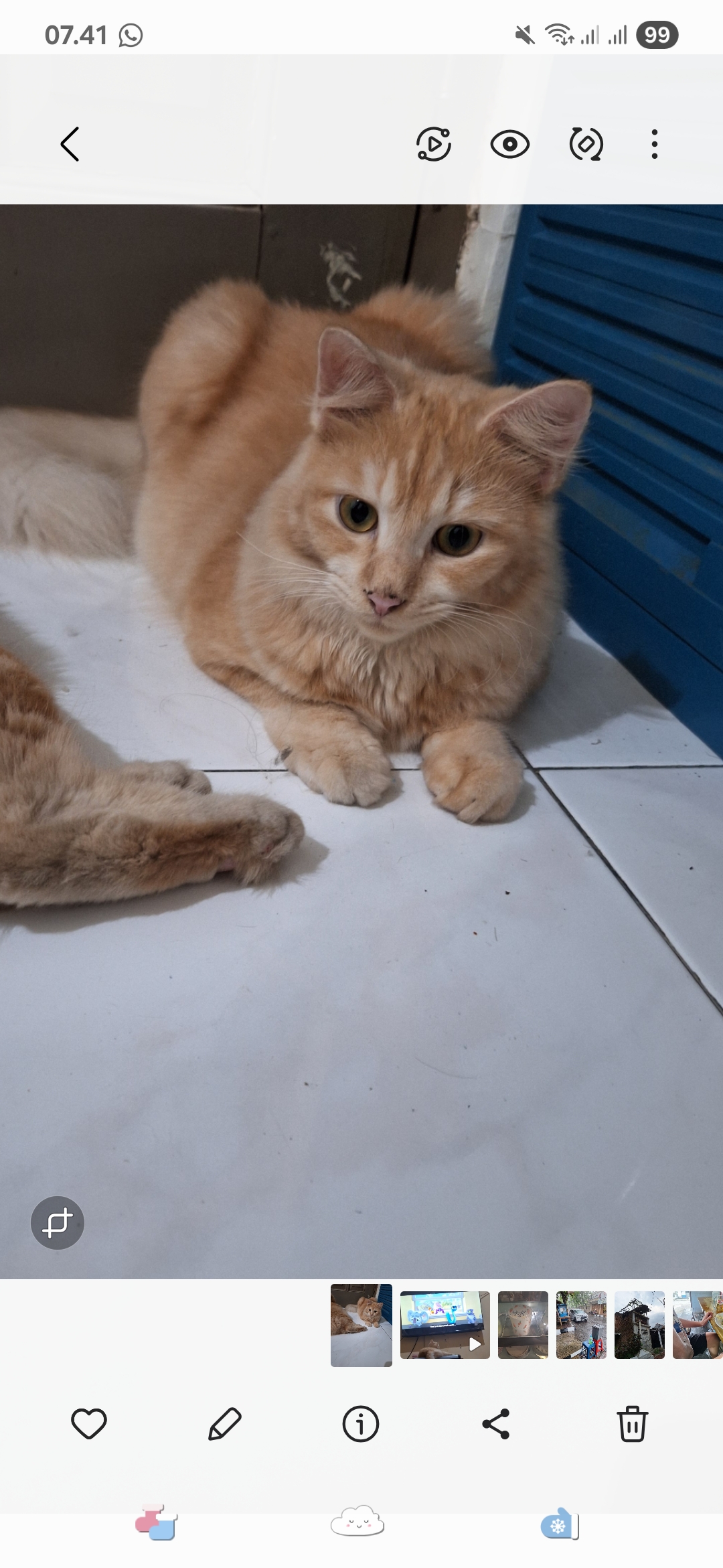 Foto laporan Pipu (HH0068)