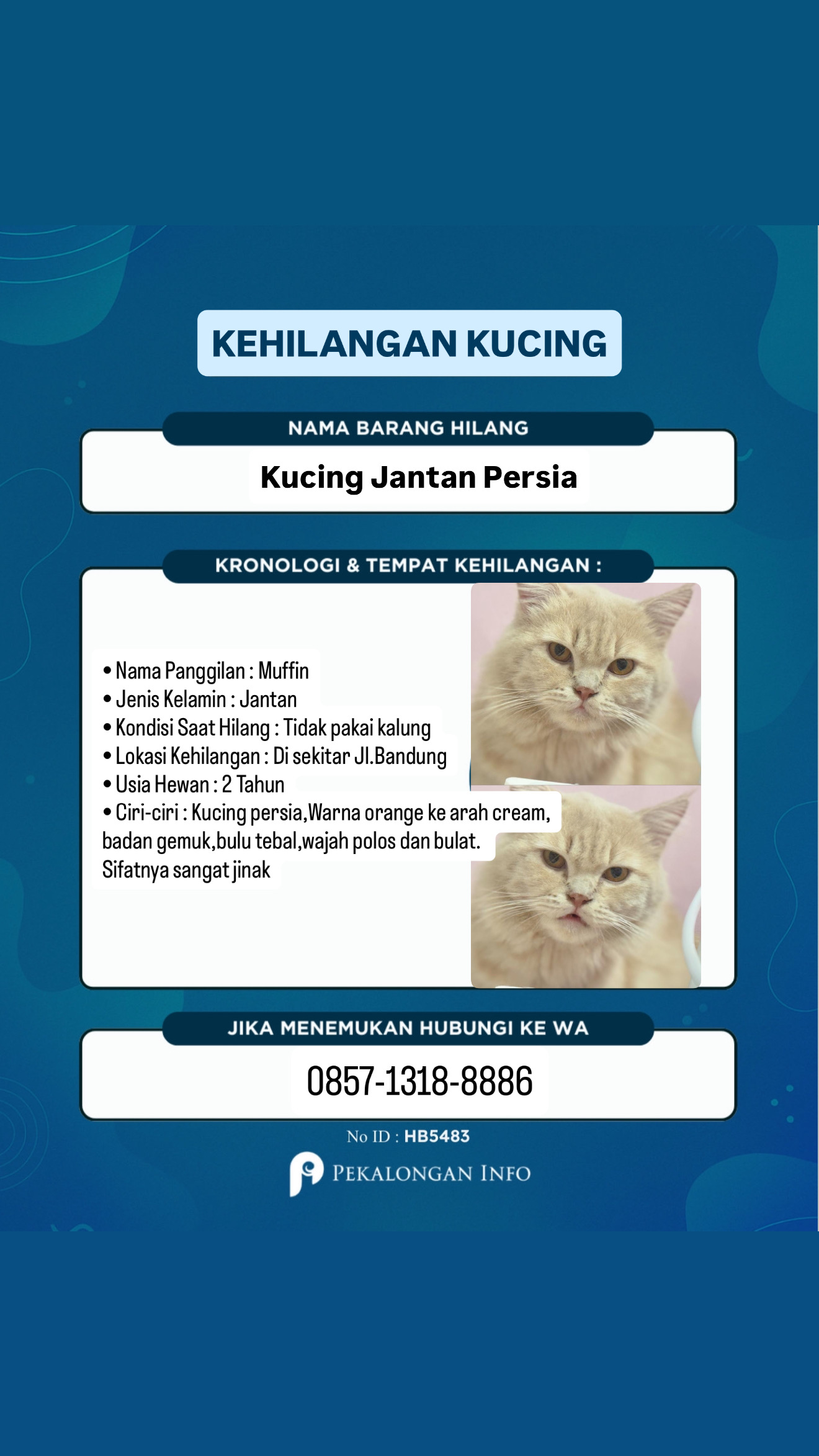Foto laporan Muffin (HH0077)