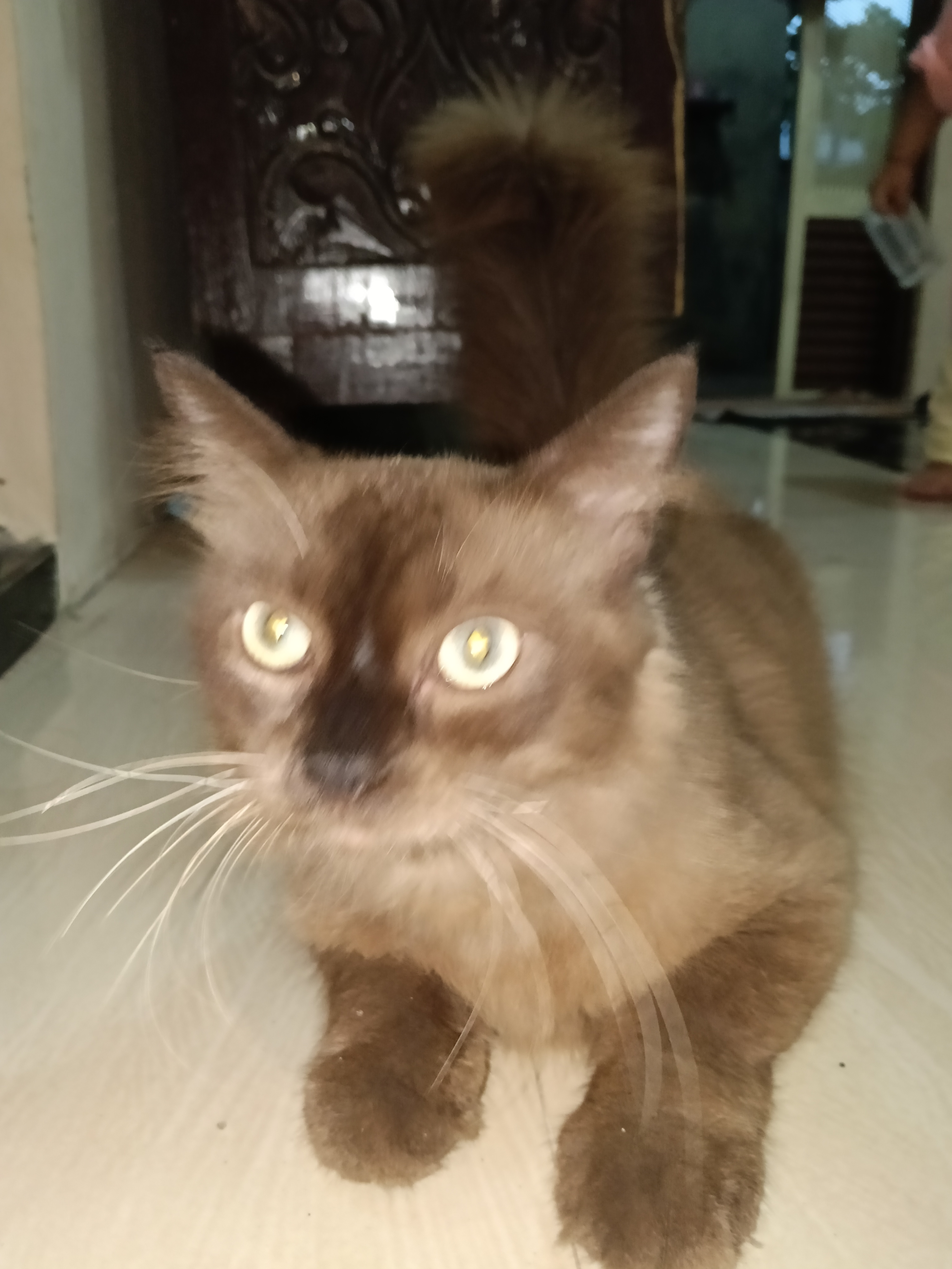 Foto laporan miki (HH0086)