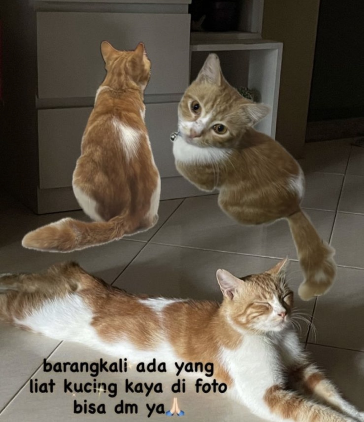 Foto laporan seila (HH0092)