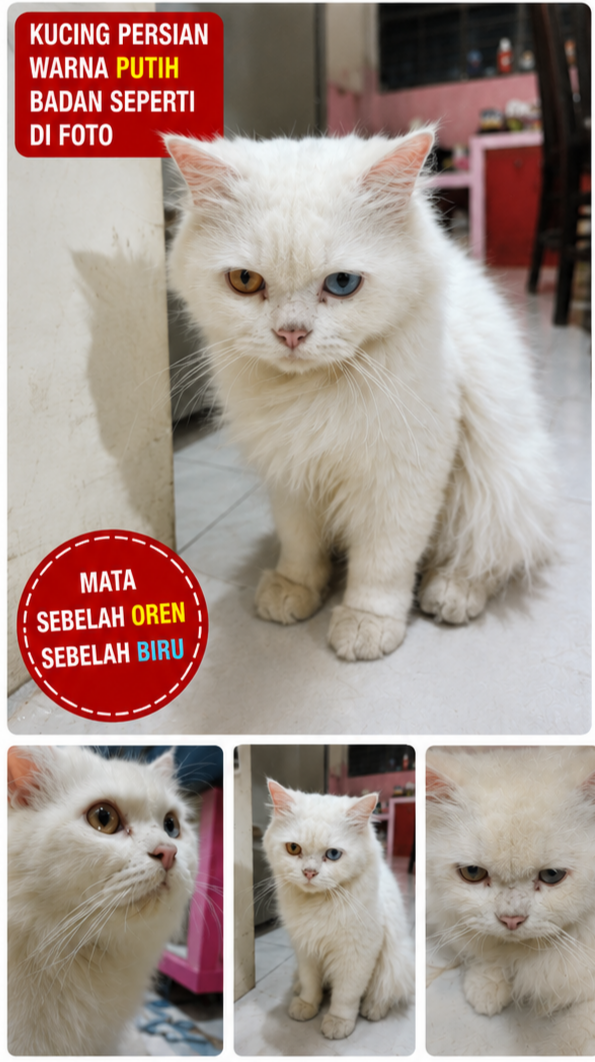 Foto laporan Izul (HH0110)