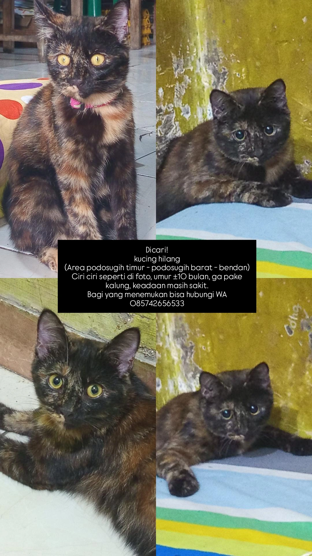 Foto laporan Adek (HH0114)