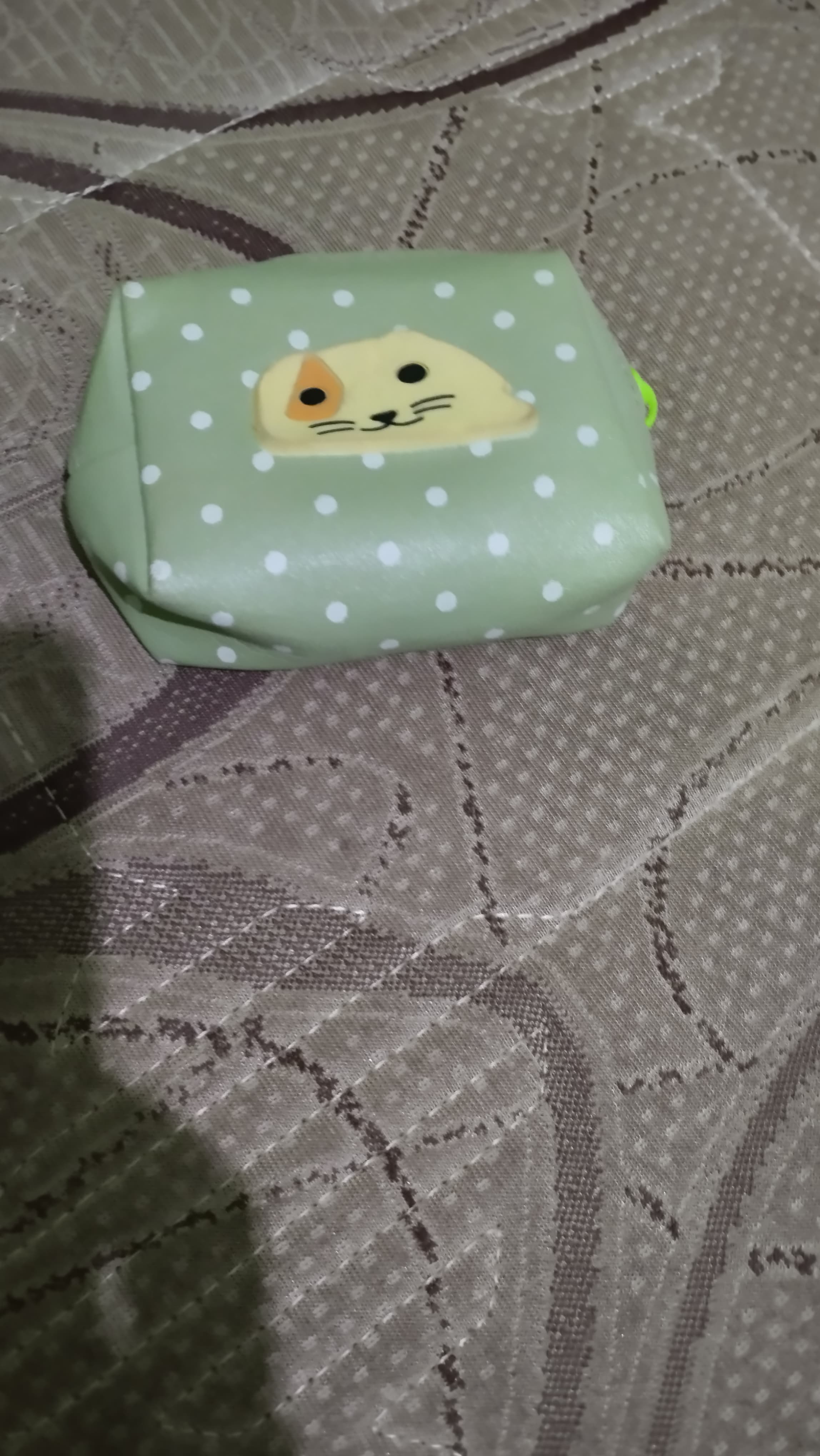 Foto laporan Dompet (TB0197)
