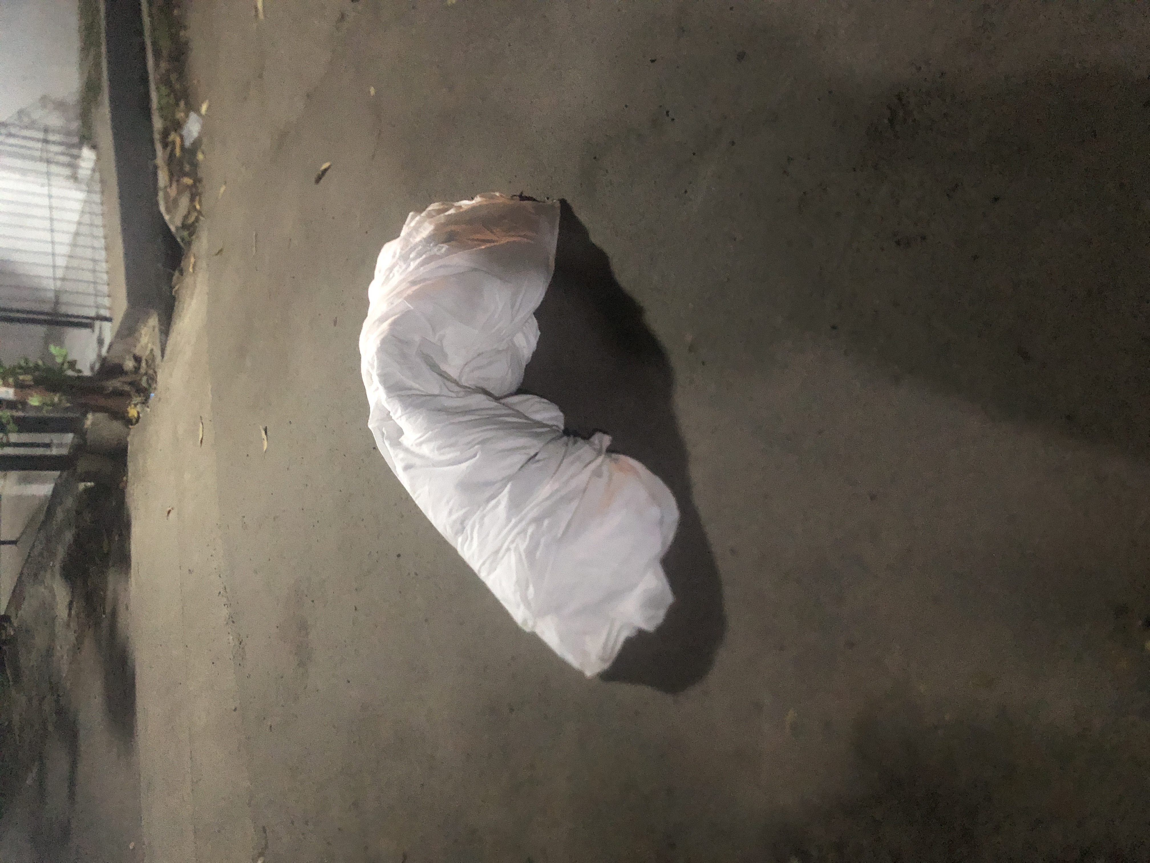 Foto laporan Bahan Mori (TB0641)