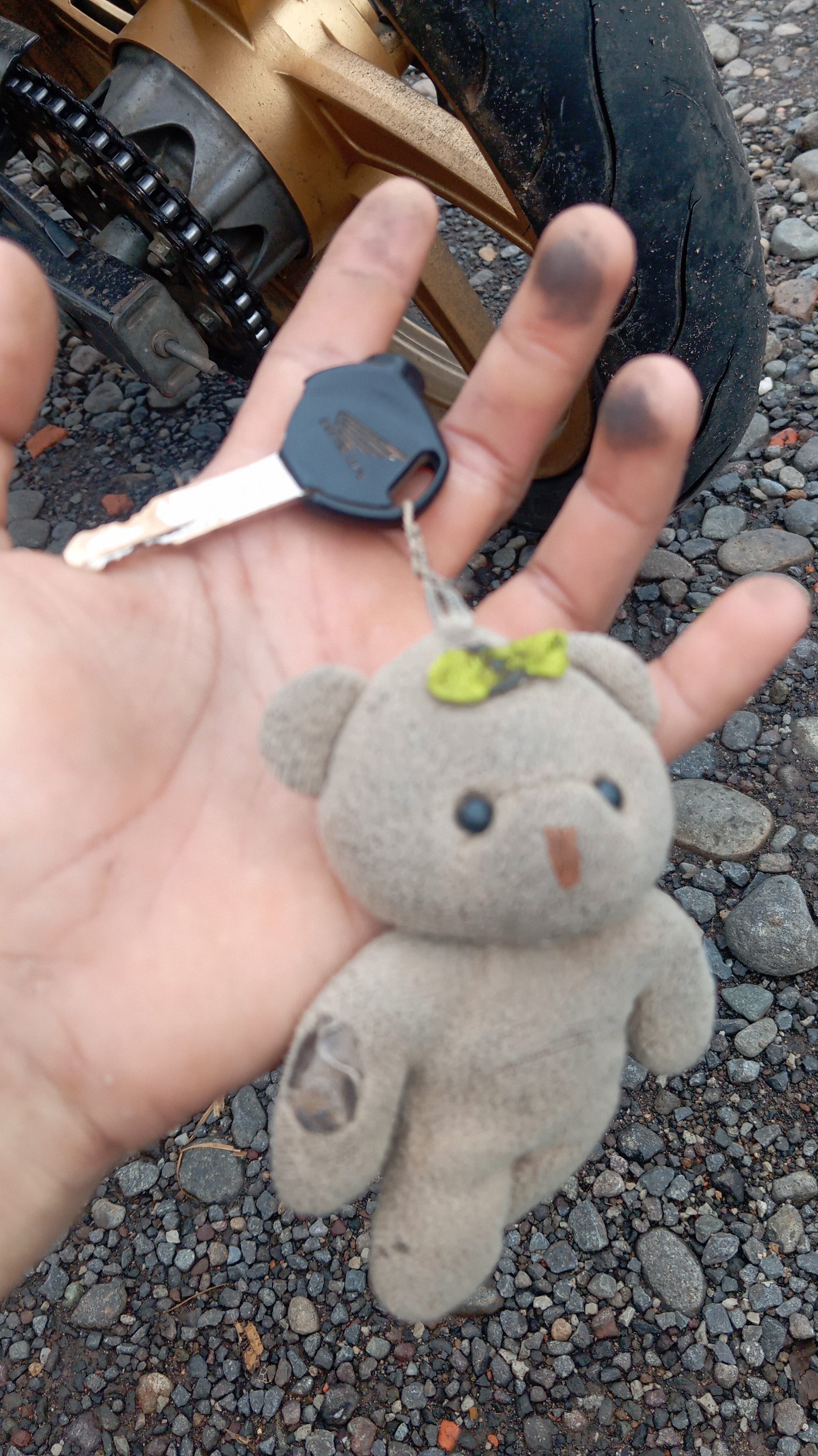 Foto laporan kontak motor (TB0650)